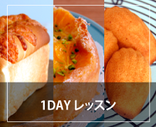 1DAY レッスン