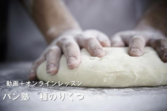 【動画+オンラインレッスン】パン塾 ～種のりくつ～～2021年11月開始
