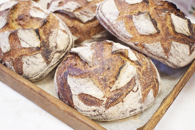 新麦コレクション　小麦が主役のパンレッスン　　～CICOUTE BAKERY (チクテベーカリー)北村千里シェフ～
発酵種を愛でるパンレッスン♪を開催しました!!!