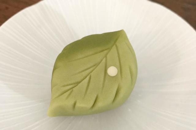6月落し文