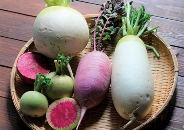 京都の八百屋 坂ノ途中 いろいろな野菜を知ろう!! 旬野菜をおいしく楽しく食べるコツ
