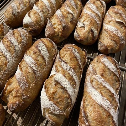 ドウイスト全粒粉