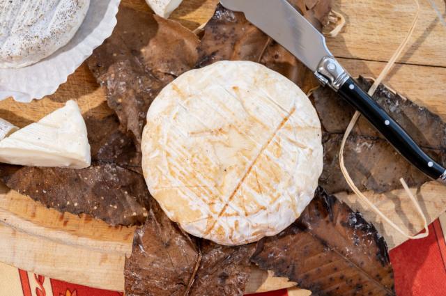 『フランスの“森のチーズ” BANON(バノン)チーズ』