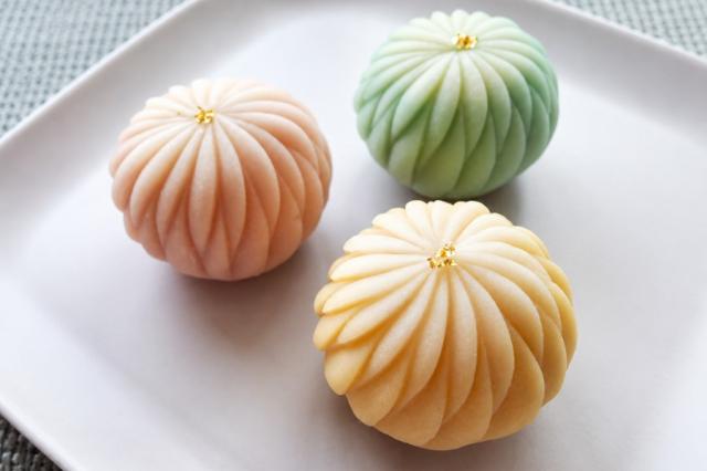 8月　ヘラ菊・着せ綿