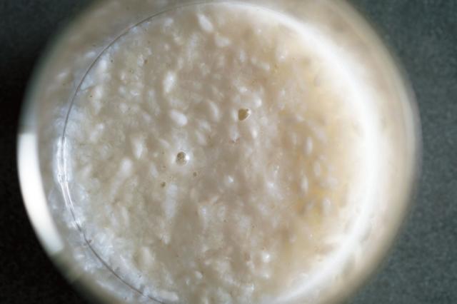 ごはんと麹の酵母を知る　