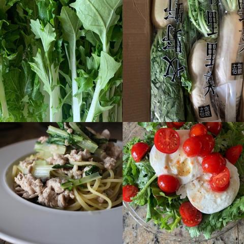 八百屋塾　～旬の野菜と果物を知る～　6回目　土佐在来野菜と料理