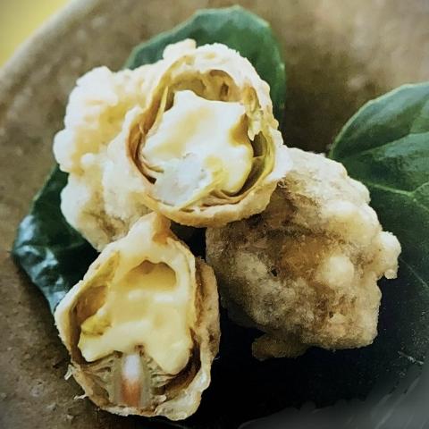 蕗の薹チーズ射込み揚げ